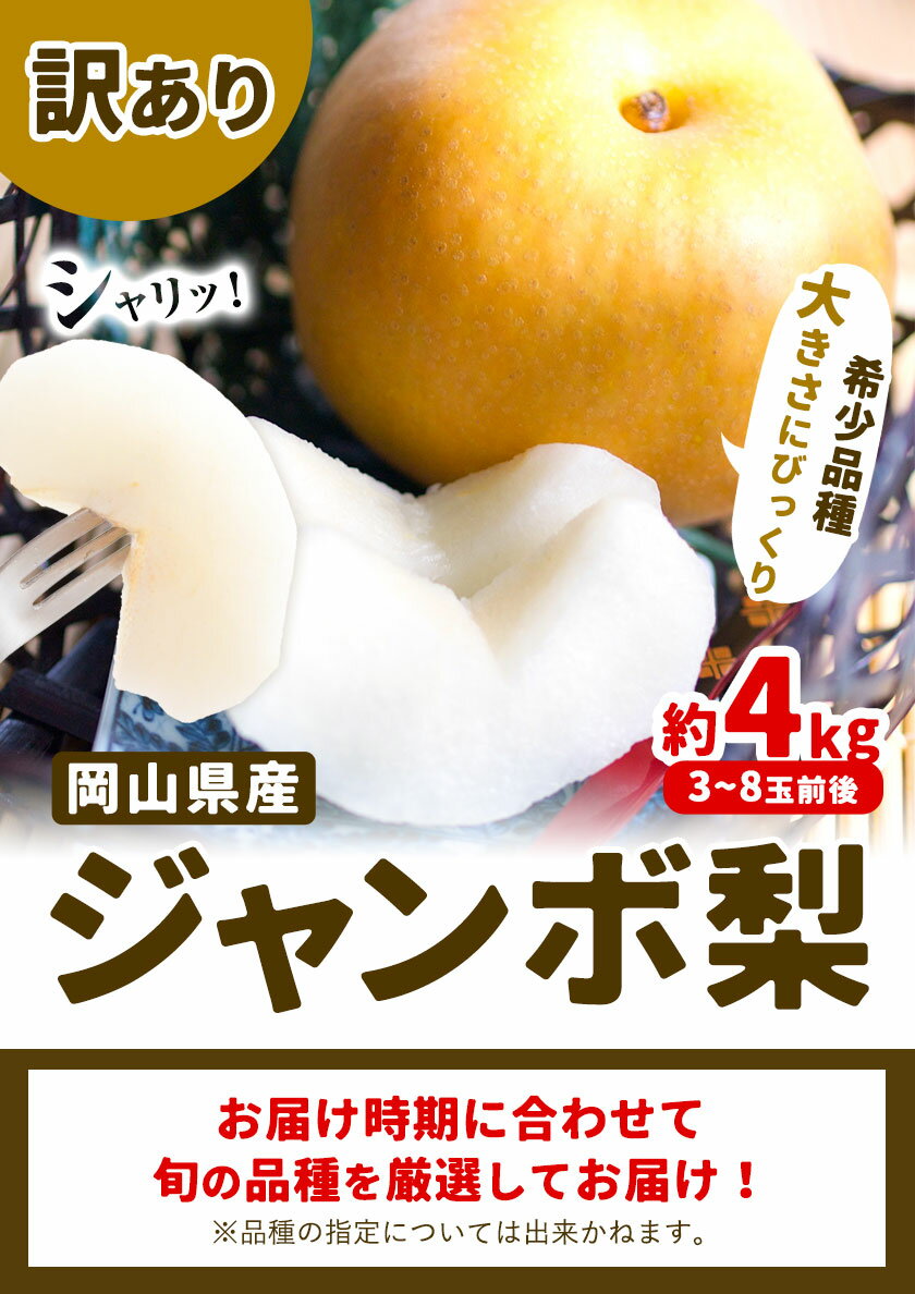 【ふるさと納税】【先行予約】梨 ジャンボ梨 訳あり 新高梨 愛宕梨 3玉-8玉 約4kg 《2024年10月中旬-12月末頃出荷》岡山県 浅口市 フルーツ 果物 なし 旬 サイズ 不選別 希少品種 ご家庭用 国産 岡山県産 送料無料