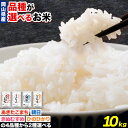 【ふるさと納税】令和5年産 品種が選べる お米 白米 10kg 《90日以内に出荷予定(土日祝除く)》岡山県 浅口市 精米 米 あきたこまち きぬむすめ 朝日 ひのひかり 送料無料