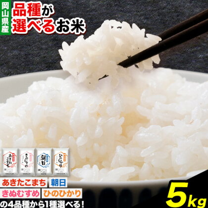 令和5年産 品種が選べる お米 白米 5kg 《30日以内に出荷予定(土日祝除く)》岡山県 浅口市 精米 米 あきたこまち きぬむすめ 朝日 ひのひかり 送料無料