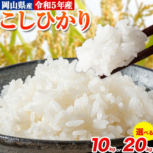 令和5年産 こしひかり 白米 10kg 20kg[30日以内に出荷予定(土日祝除く)]岡山県 浅口市 精米 米 選べる 内容量 送料無料