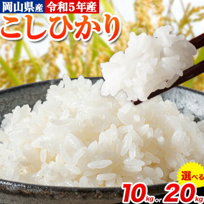 令和5年産 こしひかり 白米 10kg 20kg《30日以内に出荷予定(土日祝除く)》岡山県 浅口市 精米 米 選べる 内容量 送料無料