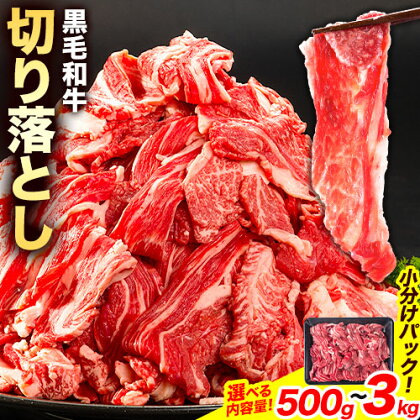 牛肉 黒毛和牛 切り落とし 500g ～ 3kg 《30日以内に出荷予定(土日祝除く)》 岡山県 浅口市 牛 牛肉 和牛 牛丼 カレー 小分け 小分けパック 250g 送料無料