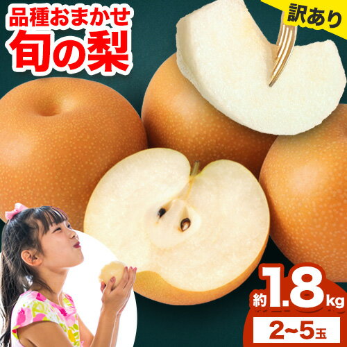 【ふるさと納税】梨 品種おまかせ 旬の梨1.8kg 訳あり 