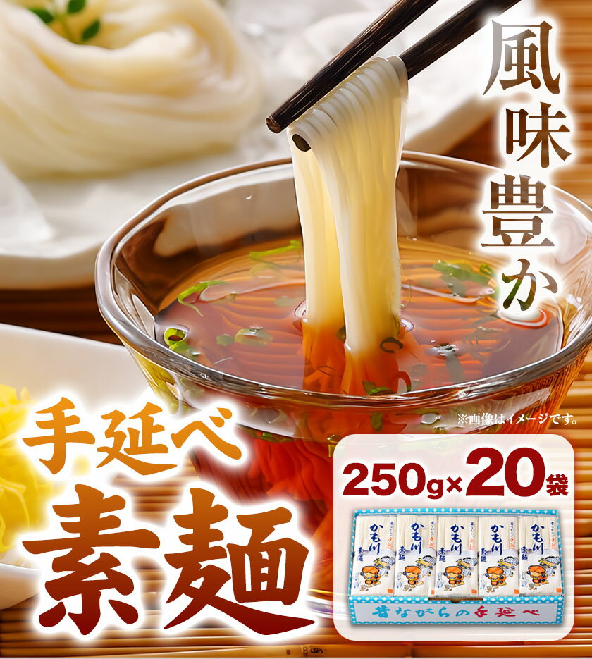 【ふるさと納税】そうめん 素麺 ソーメン 手延べ素麺 250g×20袋 5kg かも川手延素麺株式会社《30日以内に発送予定(土日祝除く)》岡山県 浅口市 紙箱入 お土産 送料無料