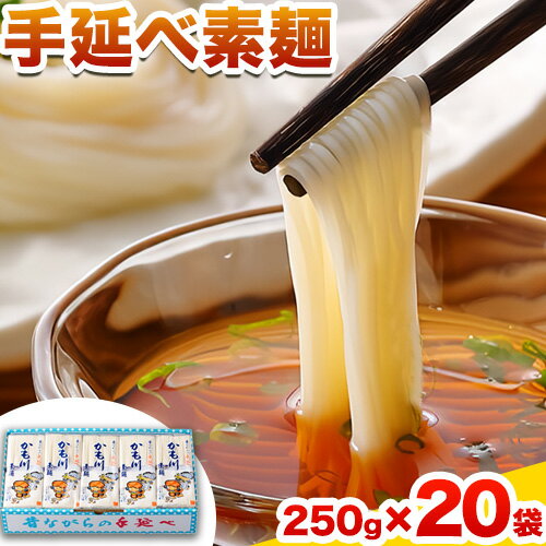 44位! 口コミ数「0件」評価「0」そうめん 素麺 ソーメン 手延べ素麺 250g×20袋 5kg かも川手延素麺株式会社《30日以内に発送予定(土日祝除く)》岡山県 浅口市 ･･･ 