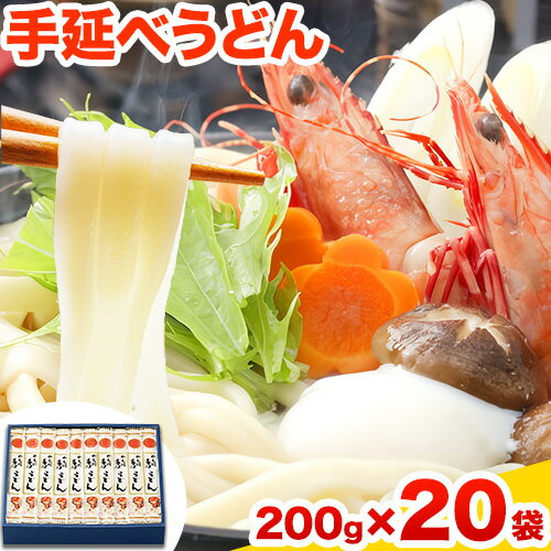 【ふるさと納税】うどん 手延べうどん 200g×20袋 4kg かも川手延素麺株式会社《30日以内に発送予定(土...