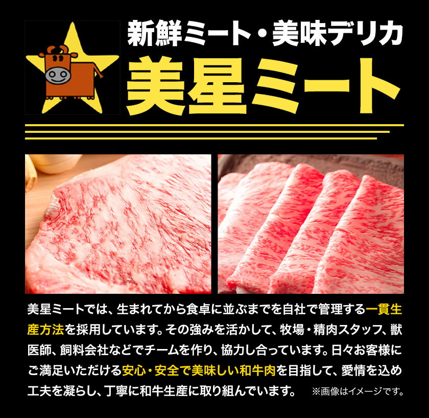 【ふるさと納税】 牛肉 ステーキ 切り落とし 美星牛 約460g入り 美星ミート《30日以内に発送予定(土日祝除く)》 牛肉 岡山県 浅口市 肉 和牛 国産 牛肉 ステーキ切り落とし 美星和牛 厳選 霜降り 冷凍 送料無料