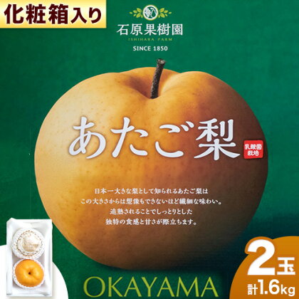 【2024年先行予約】あたご 梨 約800g x 2玉 計1.6kg 化粧箱 石原果樹園 《2024年11月下旬-12月下旬頃より発送予定》岡山県 浅口市 フルーツ 果物 ギフト 贈り物 国産 岡山県産 送料無料