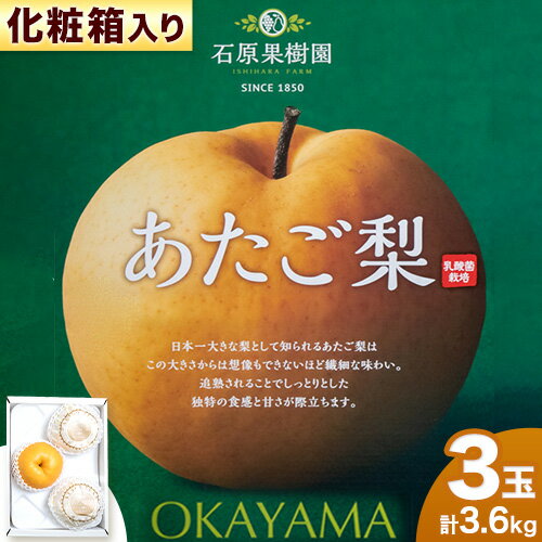 [2024年先行予約]梨 あたご梨 3玉 計3.6kg以上 約1.2kg /玉 化粧箱 石原果樹園 [2024年11月下旬-12月下旬頃より発送予定]岡山県 浅口市 フルーツ 果物 ギフト 贈り物 国産 岡山県産 送料無料