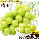 【ふるさと納税】【2026年先行予約】ぶどう シャインマスカット 晴王 選べる内容量《2026年9月中旬-10月中旬頃出荷》晴レ乃青果 (岡山中央卸売市場店(富士紙工 有限会社) マスカット 送料無料 岡山県 浅口市 フルーツ 果物 贈り物 ギフト 国産 【配送不可地域あり】