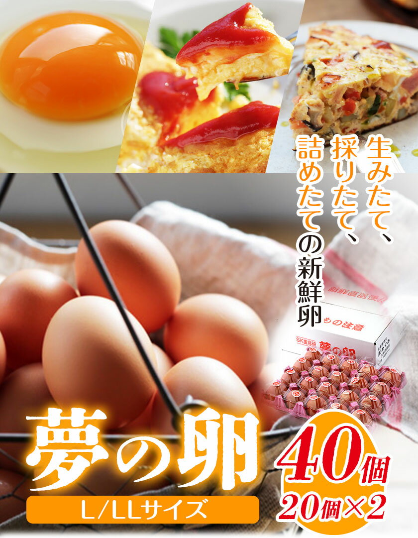 【ふるさと納税】卵 たまご 赤玉 夢の卵 20個入り x 2セット L/LLサイズ《90日以内に出荷予定(土日祝除く)》株式会社めぐみ 岡山県 浅口市 送料無料 大容量 大箱 たっぷり Lサイズ LLサイズ