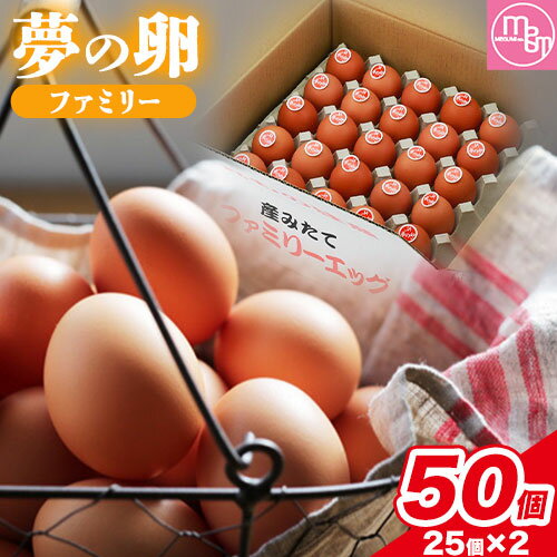 24位! 口コミ数「0件」評価「0」卵 たまご 赤玉 夢の卵 ファミリー 50個《90日以内に出荷予定(土日祝除く)》株式会社めぐみ 岡山県 浅口市 送料無料 25個 × 2セ･･･ 