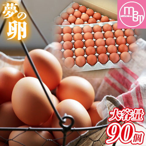 22位! 口コミ数「0件」評価「0」卵 たまご 赤玉 夢の卵 90個《90日以内に出荷予定(土日祝除く)》株式会社めぐみ 岡山県 浅口市 送料無料 大容量 大箱 たっぷり