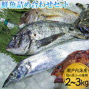 2位! 口コミ数「1件」評価「5」鮮魚詰め合わせセット 旬の魚3~4種類 2~3kg 株式会社マルキ寄島魚市場《30日以内に出荷予定(土日祝除く)》岡山県 浅口市 瀬戸内海産･･･ 