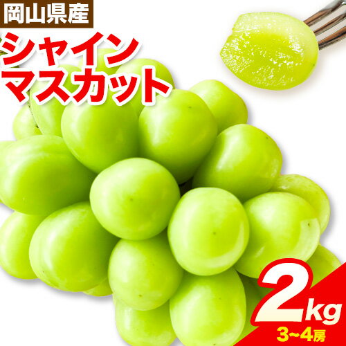 56位! 口コミ数「0件」評価「0」シャインマスカット 岡山県産 2kg 3房 ~ 4房《9月中旬-10月中旬頃出荷》ひらた農園 マスカット 送料無料 岡山県 浅口市 シャイン･･･ 