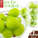 【ふるさと納税】【先行予約】訳あり 小分け 粒パック 7パック 約1kg 晴王 ハレノフルーツ《9月上旬-10月下旬頃出荷》岡山県 浅口市 送料無料 フルーツ ...