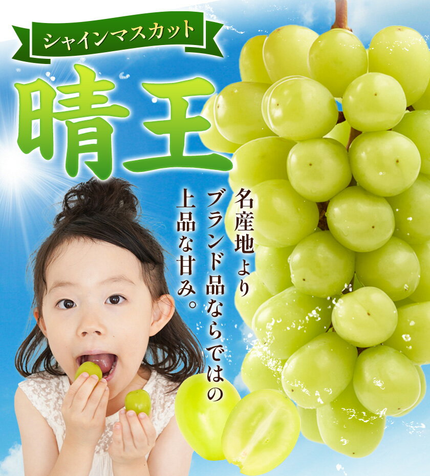 【ふるさと納税】【先行予約】ぶどう シャインマスカット 晴王 600g 700g 1.2kg 1.4kg 1房 2房 ハレノフルーツ(アストライ)《9月上旬-11月中旬頃出荷》岡山県 浅口市 送料無料 フルーツ 果物 マスカット お取り寄せフルーツ【配送不可地域あり】