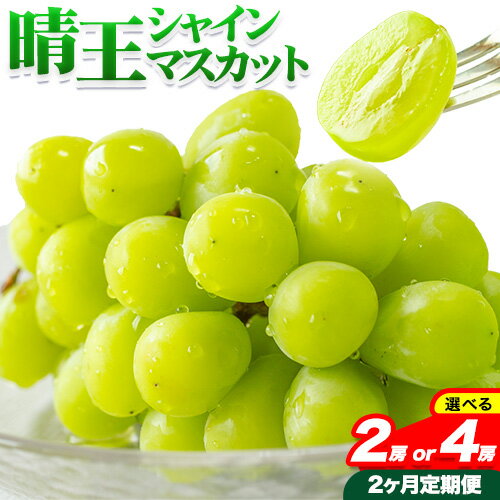 ぶどう 2ヶ月 定期便 [2024年先行予約] シャインマスカット 晴王 1房 約700g 岡山県産 2房 約1.2kg[9月上旬-11月上旬頃出荷(土日祝除く)] マスカット 送料無料 岡山県 浅口市 フルーツ 果物 贈り物 ギフト 国産 岡山県産 くだもの [配送不可地域あり]