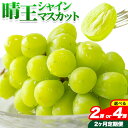 yӂ邳Ɣ[ŁzԂǂ 2  [2024Ns\] VC}XJbg  1[ 700g RY 2[ 1.2kgs9{-11{o(yj)t }XJbg  R s t[c ʕ 蕨 Mtg Y RY  yzsn悠z