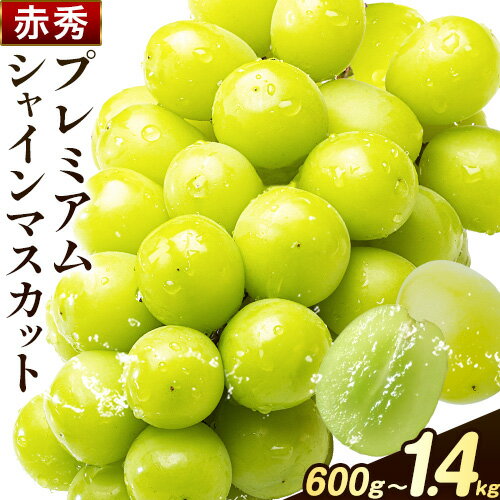 【ふるさと納税】【先行予約】ぶどう シャインマスカット 赤秀 プレミアム 晴王 選べる 600g 700g 1.2kg 1.4kg 1房 2房 ハレノフルーツ(アストライ)《9月上旬-11月中旬頃出荷》岡山県 浅口市 送料無料 フルーツ 果物 マスカット お取り寄せフルーツ【配送不可地域あり】