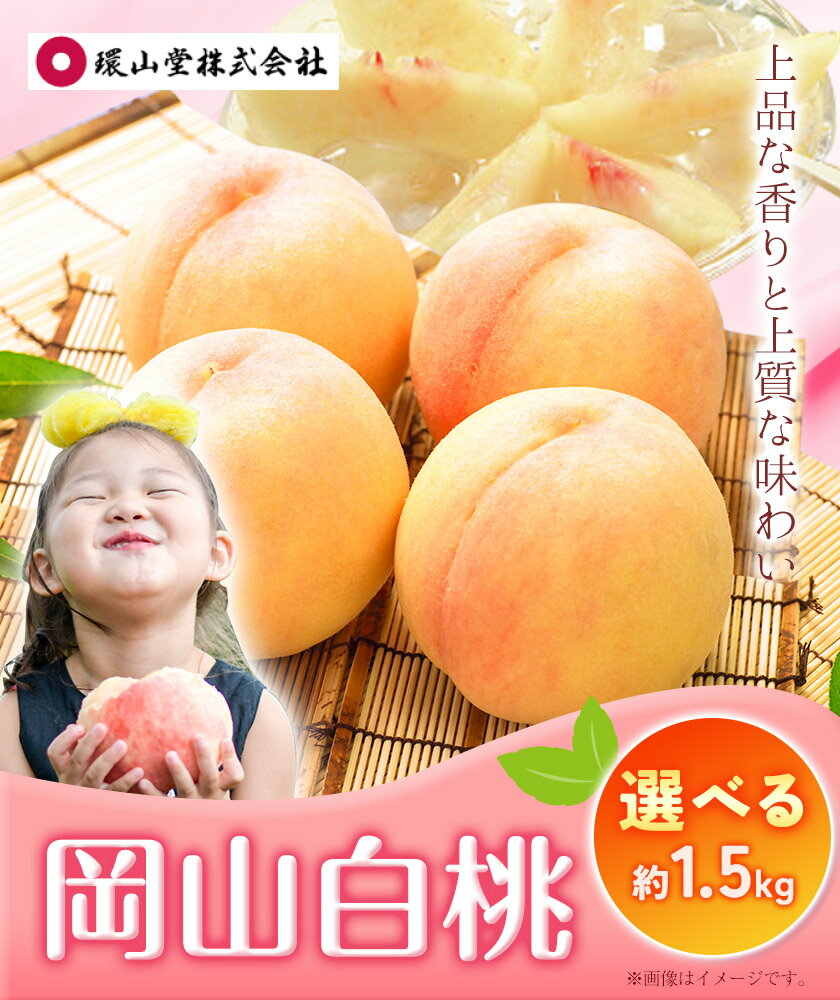 【ふるさと納税】【2026年先行予約】桃 もも 岡山白桃 5〜7玉 約1.5kg 選べる品種 (加納岩もしくは白鳳) (夢白桃もしくは白麗) 岡山県産 環山堂株式会社《2026年7月上旬‐7月中旬頃出荷》岡山県 浅口市 白桃 果物 フルーツ 送料無料【配送不可地域あり】