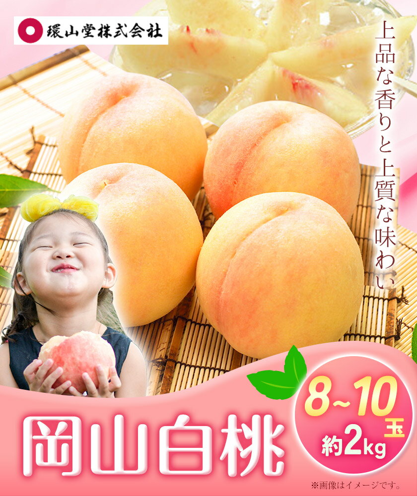 【ふるさと納税】【2026年先行予約】桃 もも 岡山白桃 8〜10玉 約2kg 岡山県産 環山堂株式会社《2026年7月上旬-8月上旬頃出荷》岡山県 浅口市 白桃 果物 フルーツ 送料無料 【配送不可地域あり】