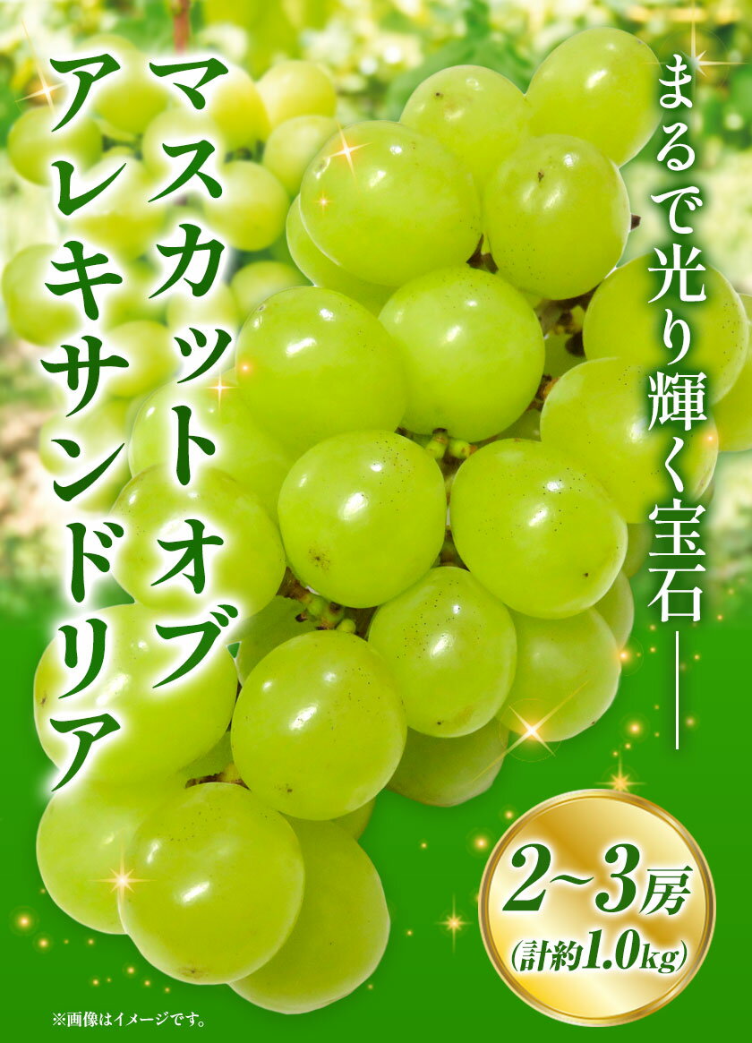 【ふるさと納税】秋の マスカットオブアレキサンドリア 2～3房 計約1.0kg 環山堂株式会社《8月下旬-10月中旬頃より発送予定》岡山県 浅口市 マスカット ぶどう 果物 フルーツ 葡萄 送料無料