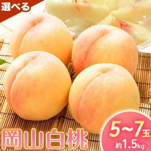 【ふるさと納税】【2025年先行予約】桃 もも 岡山白桃 5〜7玉 約1.5kg 選べる品種 (加納岩もしくは白鳳) (夢白桃もしくは白麗) 岡山県産 環山堂株式会社《2025年7月-8月頃出荷》岡山県 浅口市 白桃 果物 フルーツ 送料無料【配送不可地域あり】 【ふるさと納税】【2025年先行予約】桃 もも 岡山白桃 5〜7玉 約1.5kg 選べる品種 (加納岩もしくは白鳳) (夢白桃もしくは白麗) 岡山県産 環山堂株式会社《2025年7月-8月頃出荷》岡山県 浅口市 白桃 果物 フルーツ 送料無料【配送不可地域あり】