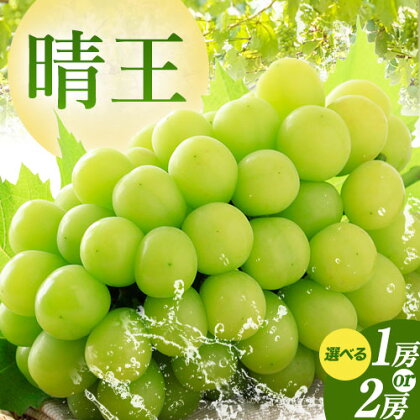 秋のシャインマスカット 晴王 選べる 1房 2房 環山堂株式会社《2024年9月上旬-10月下旬頃より発送予定》岡山県 浅口市 シャインマスカット マスカット ぶどう 果物 フルーツ 送料無料
