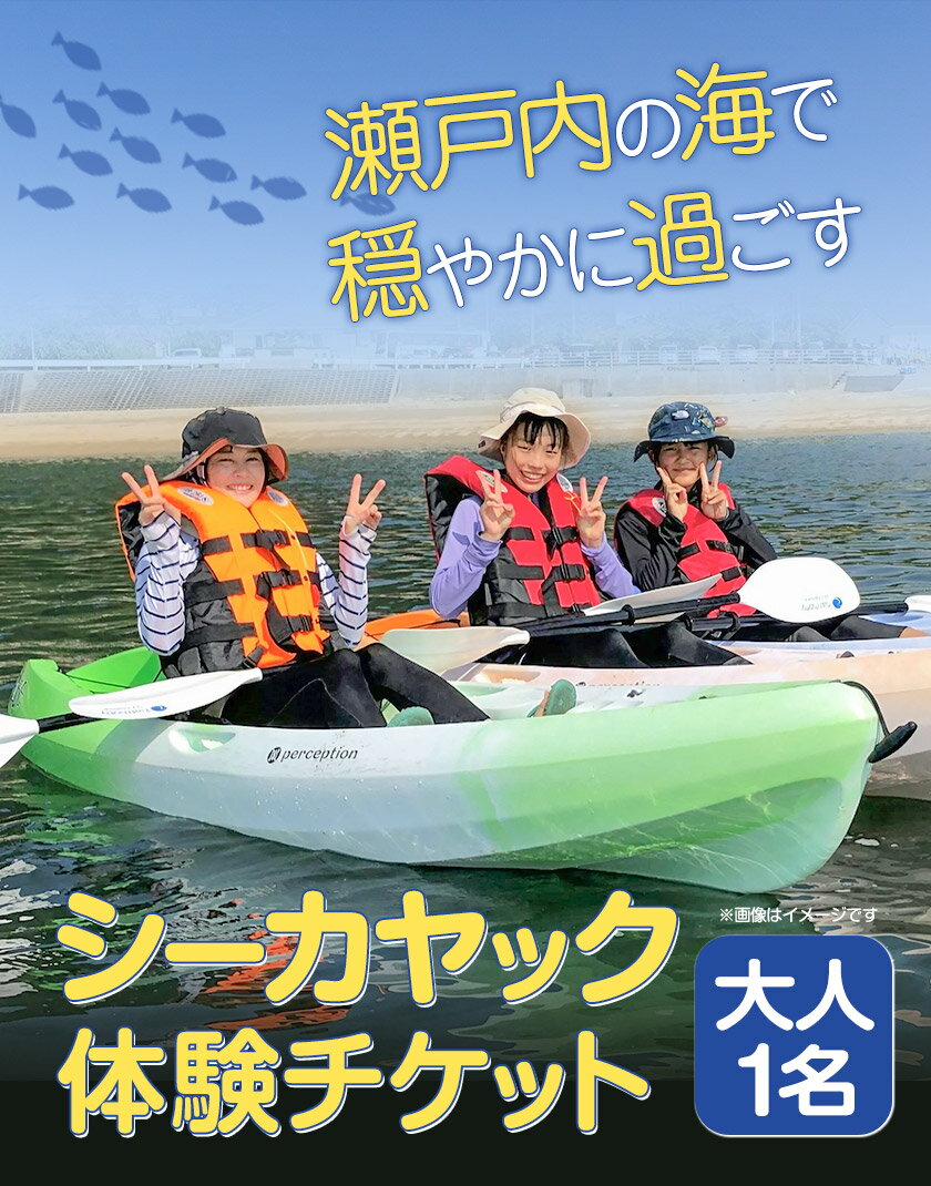 【ふるさと納税】シーカヤックチケット 大人1名 選べる体験時間 1時間 3時間 NPO法人あさくちスポーツクラブ遊ぶところ《90日以内に発送予定(土日祝除く)》岡山県 浅口市 シーカヤック カヤック 体験 大人 チケット 海 2