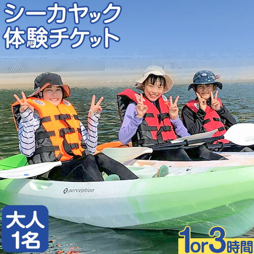 3位! 口コミ数「0件」評価「0」シーカヤックチケット 大人1名 選べる体験時間 1時間 3時間 NPO法人あさくちスポーツクラブ遊ぶところ《90日以内に発送予定(土日祝除く･･･ 