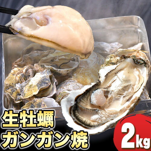 【ふるさと納税】殻付き生牡蠣 ガンガン焼きL2kgセット(牡蠣ナイフ付き)加熱用 寄島町漁業協同組合《2025年2月上旬-4月中旬頃出荷》岡山県 浅口市 牡蠣 かき ガンガン焼き 海鮮 冷蔵 送料無料【配送不可地域あり】のサムネイル