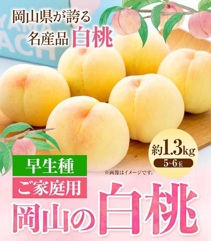 【ふるさと納税】ご家庭用 岡山の白桃 早生種 約1.3kg 晴れの国 おかやま館(つむぐ株式会社) 《6月下旬-8月上旬頃出荷》岡山県 浅口市 白桃 桃 もも 果物 フルーツ 送料無料【配送不可地域あり】