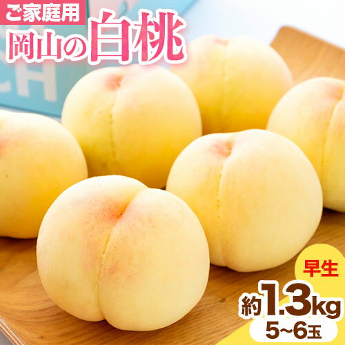 【ふるさと納税】ご家庭用 岡山の白桃 早生種 約1.3kg 