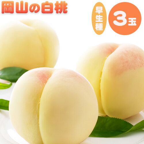 【ふるさと納税】 岡山の白桃 早生種 3玉 約840g 晴れの国 おかやま館(つむぐ株式会社) 《2025年6月下旬‐8月上旬頃出荷》岡山県 浅口市 フルーツ モモ 果物 青果 旬【配送不可地域あり】(離島) 【ふるさと納税】 岡山の白桃 早生種 3玉 約840g 晴れの国 おかやま館(つむぐ株式会社) 《2025年6月下旬‐8月上旬頃出荷》岡山県 浅口市 フルーツ モモ 果物 青果 旬【配送不可地域あり】(離島)