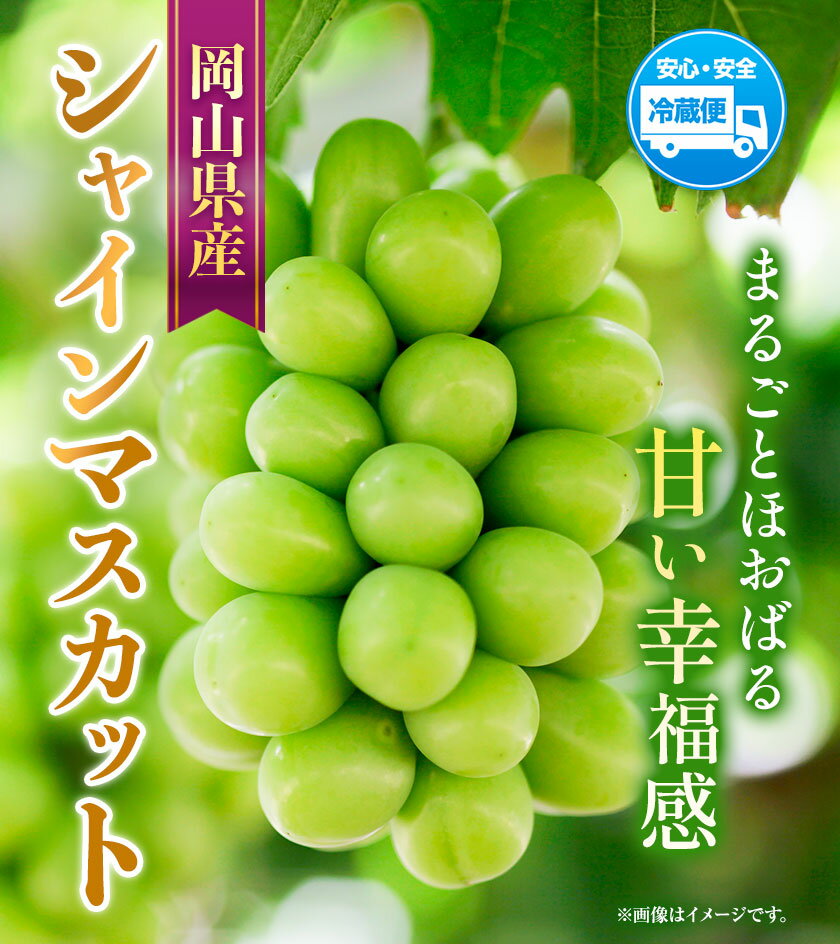 【ふるさと納税】【先行予約】岡山県産 シャインマスカット 選べる内容量 約500g ( 1房 ) または 約1.3kg ( 2～3房 ) クール便 晴れの国 おかやま館(フルーツランド岡山) 《2024年8月下旬-10月中旬頃発送予定》岡山県 浅口市【配送不可地域あり】 2