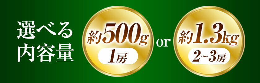 【ふるさと納税】【先行予約】岡山県産 シャインマスカット 選べる内容量 約500g ( 1房 ) または 約1.3kg ( 2～3房 ) クール便 晴れの国 おかやま館(フルーツランド岡山) 《2024年8月下旬-10月中旬頃発送予定》岡山県 浅口市【配送不可地域あり】 3