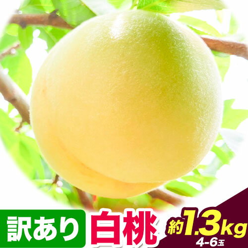 【ふるさと納税】 訳あり 白桃 桃 1.3kg ハレノフルー