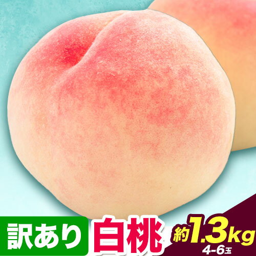 【ふるさと納税】 【2025年先行予約】訳あり 白桃 桃 1.3kg ハレノフルーツ (犬塚農園) 《2025年6月末-8月中旬頃出荷》岡山県 浅口市 フルーツ モモ 果物 青果 旬 おかやま夢白桃 白麗 白鳳 清水白桃 なつごころ 加納岩白桃 ご家庭用【配送不可地域あり】