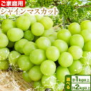 【ふるさと納税】【ご家庭用/訳あり】 シャイン マスカット 選べる 2-3房 (合計1kg以上) 3-5房 (合計2kg以上) OEC KINGDOMぶどう家 ...