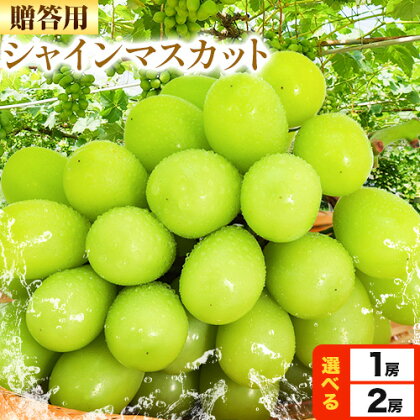 贈答クラス シャイン マスカット 選べる 1房 (700g以上) 2房 (合計1.3kg以上) 【配送不可地域あり】 OEC KINGDOMぶどう家 《8月下旬-10月中旬頃出荷(土日祝除く)》岡山県 浅口市 ぶどう 果物