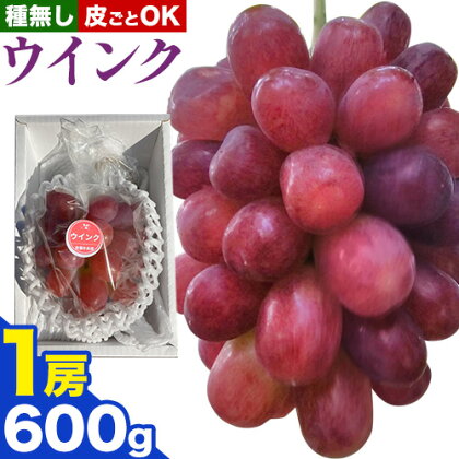 ぶどうウインク1房 約600g 岡山県産《9月上旬-10月下旬頃出荷(土日祝除く)》 ばんの農園 ぶどう 送料無料 岡山県 浅口市 フルーツ 果物 贈り物 ギフト 国産 【配送不可地域あり】