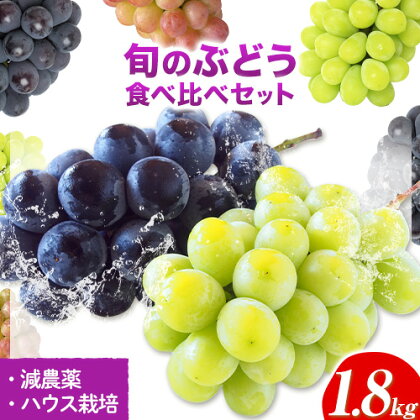 旬のぶどう食べ比べセット 約1.8kg(3～5房) 岡山県産 減農薬 ハウス栽培 《9月上旬-10月下旬頃出荷(土日祝除く)》 ばんの農園 ぶどう 食べ比べ 送料無料 岡山県 浅口市 フルーツ 果物 贈り物 ギフト 国産 【配送不可地域あり】