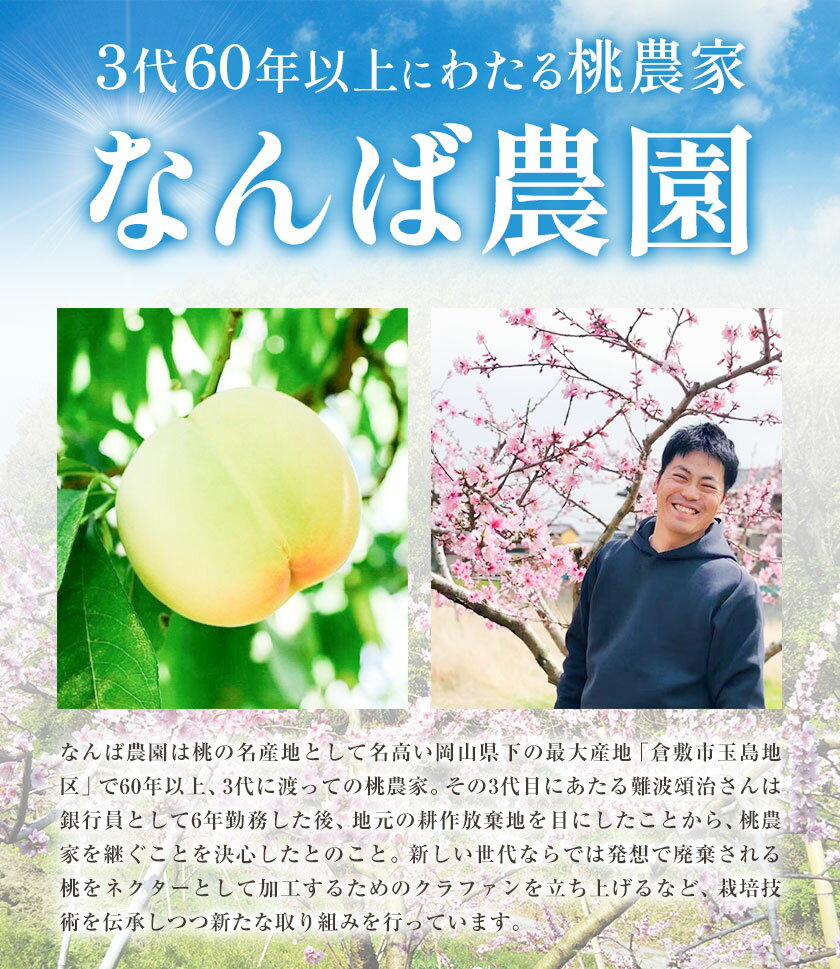 【ふるさと納税】 【2025年先行予約】ご家庭用 岡山白桃 約1.5kg ( 6玉 前後 ) 《2025年6月中旬-8月下旬頃出荷》なんば農園 岡山県 浅口市 フルーツ モモ 果物 青果 旬 白桃 桃 訳アリ わけあり 訳あり 【配送不可地域あり】