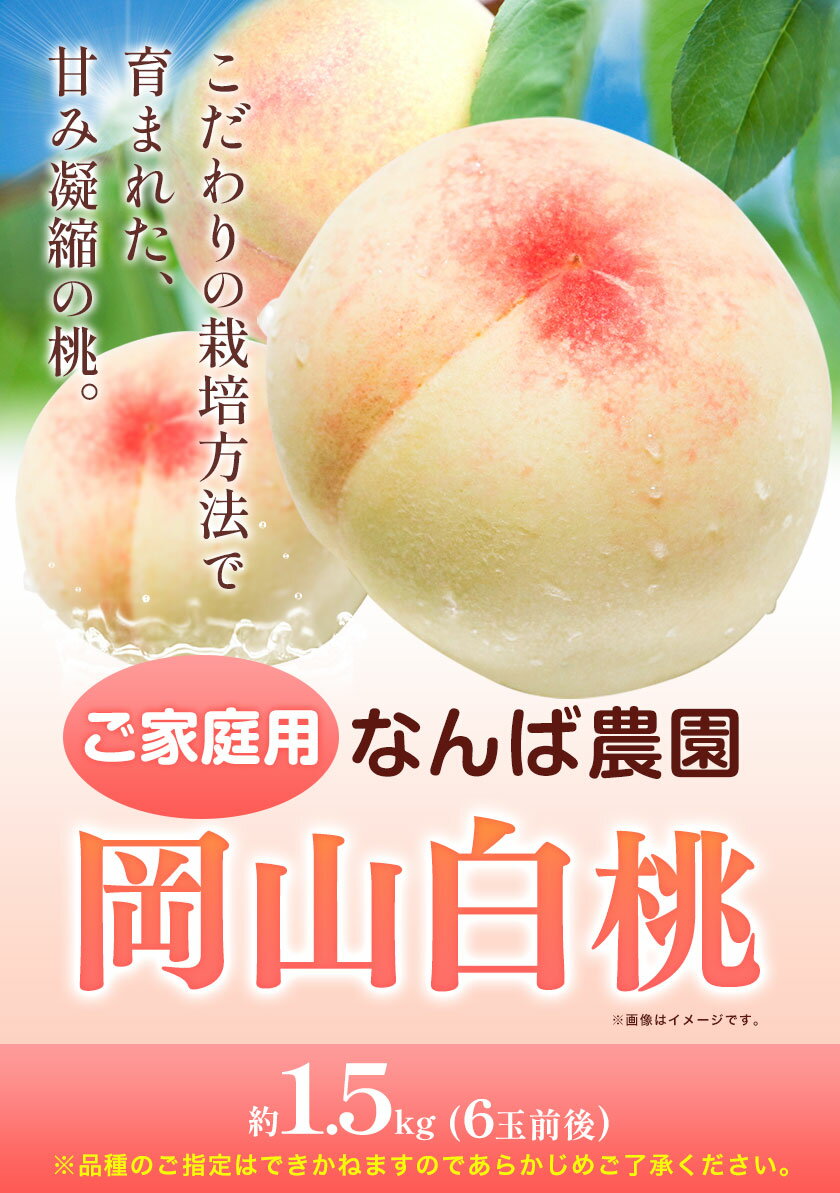 【ふるさと納税】 【2025年先行予約】ご家庭用 岡山白桃 約1.5kg ( 6玉 前後 ) 《2025年6月中旬-8月下旬頃出荷》なんば農園 岡山県 浅口市 フルーツ モモ 果物 青果 旬 白桃 桃 訳アリ わけあり 訳あり 【配送不可地域あり】