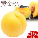 【ふるさと納税】【2025年先行予約】黄金桃 1.5kg 5~6玉 もも モモ 岡山 国産 フルーツ 果物 ギフト 桃茂實苑《8月中旬-9月下旬頃出荷》岡山県 浅口市 フルーツ 桃 果物 青果【配送不可地域あり】
