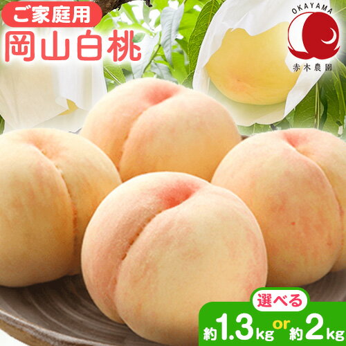 【ふるさと納税】【2025年先行予約】 ご家庭用 岡山白桃 選べる 約1.3kg (4~6玉前後) 約2kg (7~9玉前後) 赤木農園 《2025年7月上旬-8月中旬頃出荷》 岡山県 浅口市 フルーツ モモ 果物 青果 旬 白桃 桃 【配送不可地域あり】