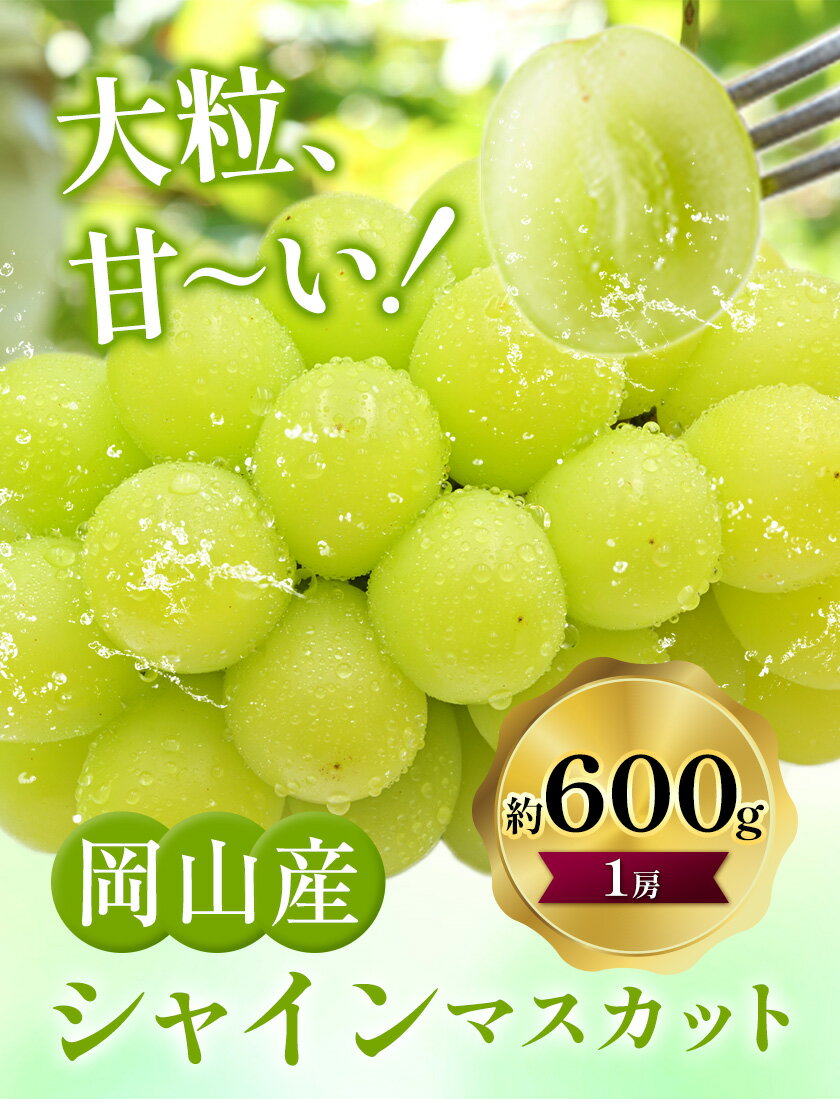 【ふるさと納税】シャインマスカット 約600g (大1房)【配送不可地域あり】 ぜきお農園《2025年9月下旬-11月上旬頃出荷》ブドウ 送料無料 岡山県 浅口市 シャインマスカット ぶどう フルーツ 果物