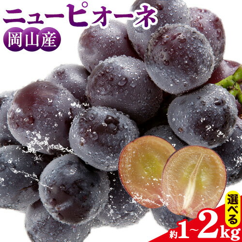 【ふるさと納税】ニューピオーネ 選べる 約1kg (2房) 約2kg (3-4房) ぜきお農園《2025年9月上旬-9月中旬頃出荷》ブドウ 送料無料 岡山県 浅口市 ぶどう フルーツ 果物 【配送不可地域あり】