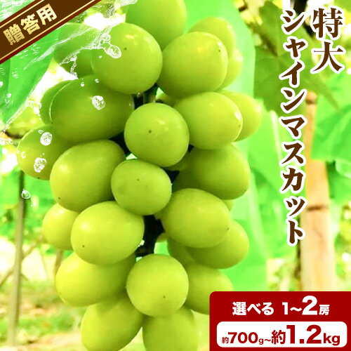 【ふるさと納税】【先行予約】贈答用 特大シャインマスカット選べる 700g以上 900g 1.2kg 1房 2房 株式会社fruceed《10月中旬-10月下旬頃出荷》 岡山県 浅口市 岡山県産 ぶどう フルーツ 果物 くだもの マスカット 送料無料